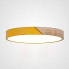 Потолочный Светильник Yellow D40 ImperiumLoft 193045-26 Clip01