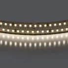 Лента белого свечения 24V Lightstar 422004