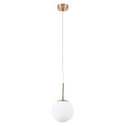 Подвесной светильник Arte Lamp A1565SP-1PB Volare