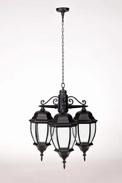 Уличный светильник подвесной Oasis Light 91270L/3 Bl