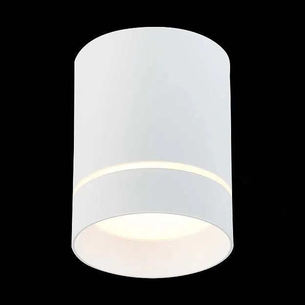 Светильник потолочный ST LUCE ST115.532.12 ST115