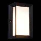 Светильник уличный настенный ST LUCE SL077.411.01 CUBISTA