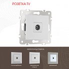 Розетка TV Arte Milano 203.43-1.silver am