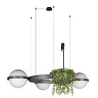 Подвесной светильник Loft IT 10121/3 Dark grey Jardin