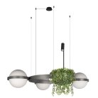 Подвесной светильник Loft IT 10121/3 Dark grey Jardin