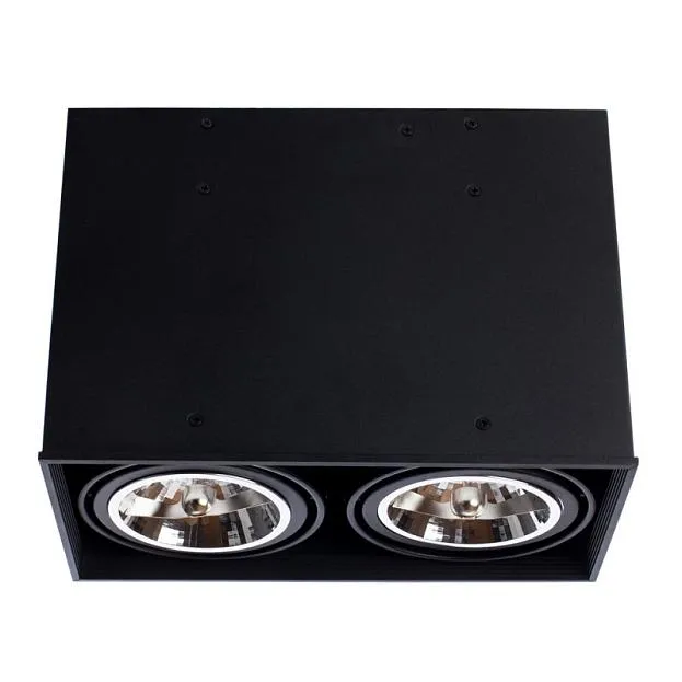 Накладной светильник ARTE Lamp A5936PL-2BK Накладной светильник ARTE Lamp A5936PL-2BK