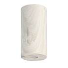 Потолочный светильник DeMarkt 712010901 Иланг