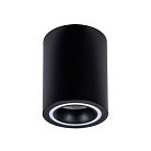 Потолочный светильник Arte Lamp A2267PL-1BK IMAI