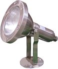 Грунтовый светильник Oasis Light 77198 SS