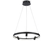 Подвесной светодиодный светильник с пультом Ambrella light FL5284