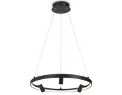 Подвесной светодиодный светильник с пультом Ambrella light FL5284