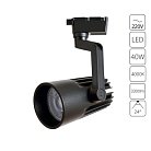 Светильник Потолочный Arte Lamp A1640PL-1BK WALES