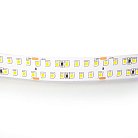 Лента теплого белого свечения 24V Lightstar 422003