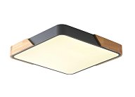 Светильник потолочный ZORTES ZRS.01288.48 ALBERRO