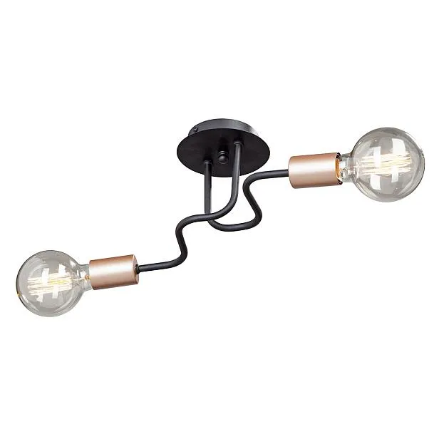 Потолочный светильник Vitaluce V4560-1/2PL