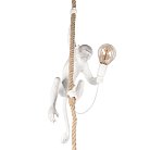 Подвесной светильник Loft IT 10314P Monkey