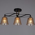 Потолочная люстра Reluce 06087-0.3-03 BK+FG