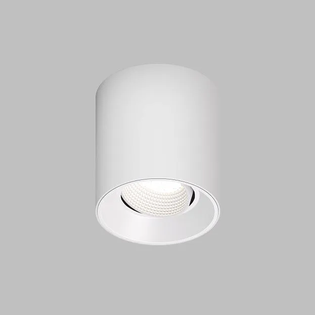 Накладной светильник Denkirs DK3090-WH DK3020WW Rodvig