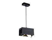 Подвесной светильник Ambrella light TN70859/2
