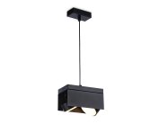 Подвесной светильник Ambrella light TN70859/2