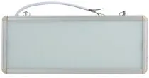 Аварийный светильник ЭРА SSA-101-0-20