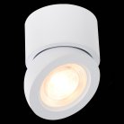 Потолочный светильник ST Luce ST654.532.10