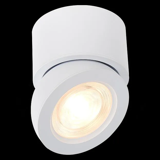 Потолочный светильник ST Luce ST654.532.10