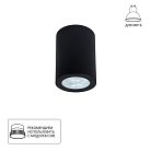 Потолочный светильник Arte Lamp A1468PL-1BK Tino