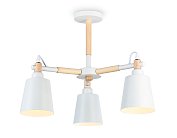 Потолочная люстра Ambrella light TR82204 LOFT