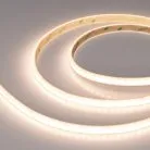 Светодиодная лента Arlight 040710 A120 PSW