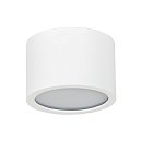 Потолочный светильник Топ Декор Tubo IP P1 10