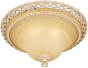 Накладной светильник WERTMARK WE342.03.027 Adora