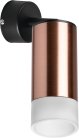 Спот Lightstar RB43031 Rullo