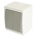 Выключатель 2-клавишный, STEKKER 49733 PSW10-221-54