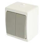 Выключатель 2-клавишный, STEKKER 49733 PSW10-221-54