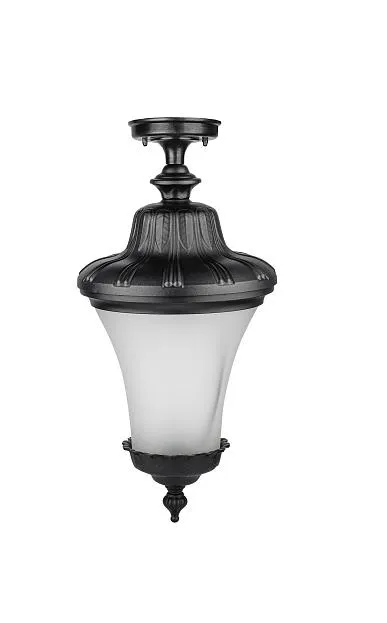 Потолочный светильник уличный Oasis Light 86405A Bl ELBA