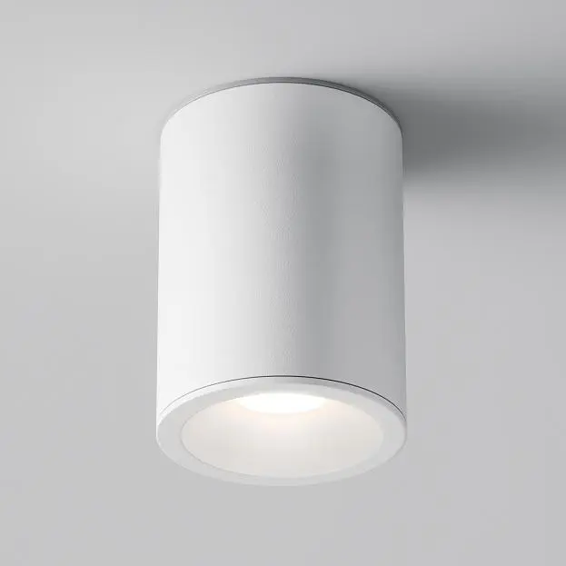 Потолочный светильник Maytoni C029CL-01W Zoom