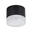 Уличный потолочный светильник Arte Lamp A1926PF-1BK PIAUTOS