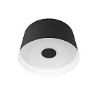 Потолочный светильник Loft IT 10360S Black Duo