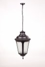 Уличный светильник подвесной Oasis Light 79755L Bl