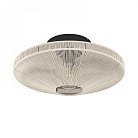 Потолочная люстра Eglo 43998 MIDSUMER