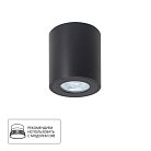 Потолочный светильник Arte Lamp A1469PL-1BK Tino