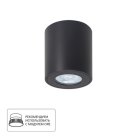 Потолочный светильник Arte Lamp A1469PL-1BK Tino