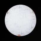 Настенно-потолочный светильник Sneha Перья мат (300) НПБ 01-2х60-001