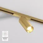 Светильник для трека Denkirs DK5741-SB SHINE SPOT