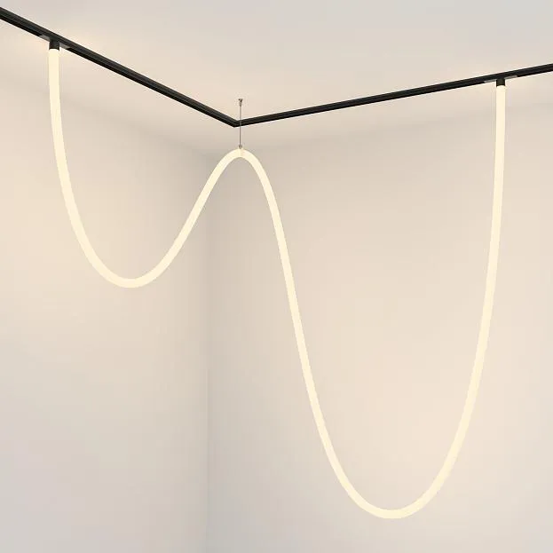 Трековый светильник Technical Maytoni TR101-2-100W3K-B Tau