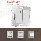Выключатель двухклавишный с подсветкой, Arte Milano 203.31-2.silver am