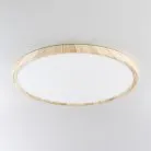 LED Светильник накладной Клён Citilux CL738322V Бейсик