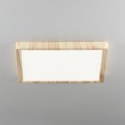 LED Светильник накладной Клён Citilux CL738K242V Бейсик