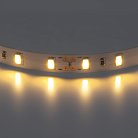 Светодиодная лента Lightstar 400072